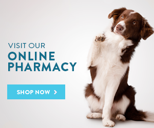 Our Online Pharmacy