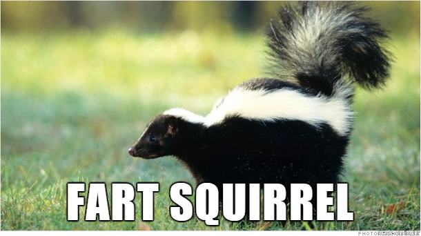 Fart Squirrel