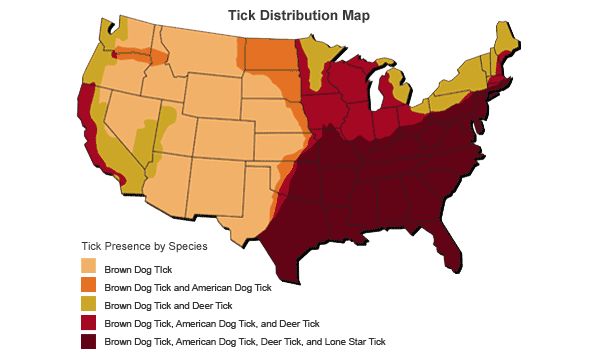 No 🏷️ ticks with states What Is