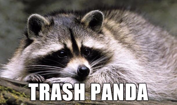 Trash Panda